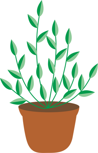 plant
